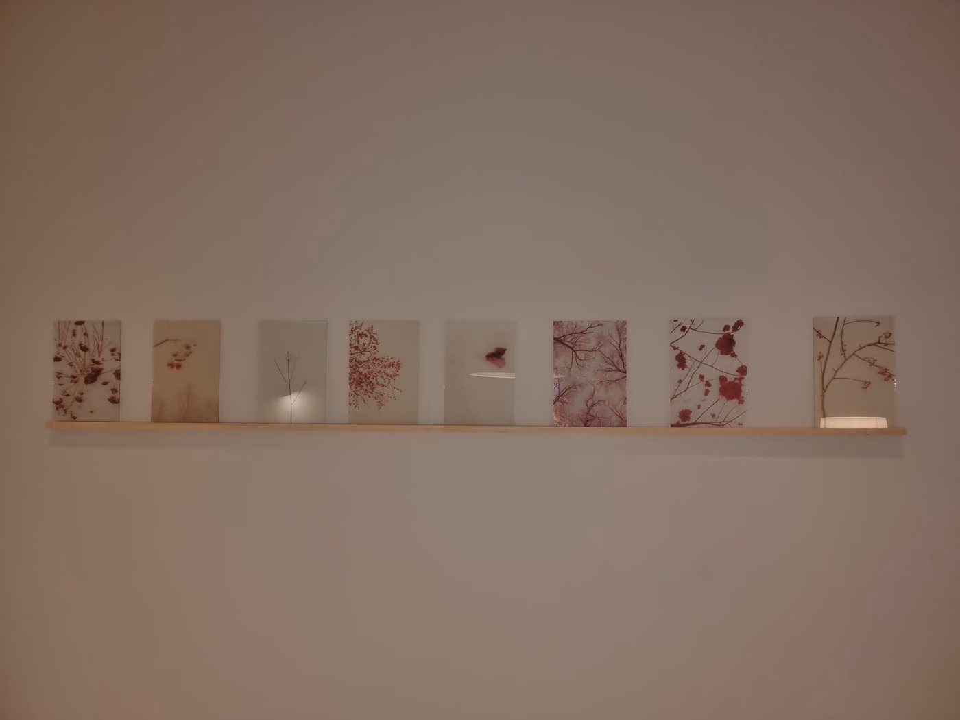 Inauguración de la nueva planta del showroom de Tarragona, imagen 7.
